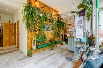 BeautyPac reception area with a planted feature wall and product display.